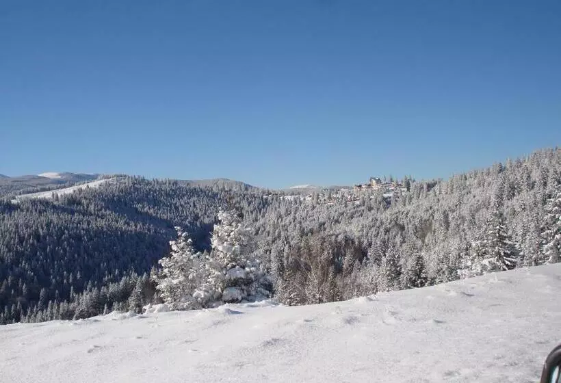 ペンション Vila Romanita