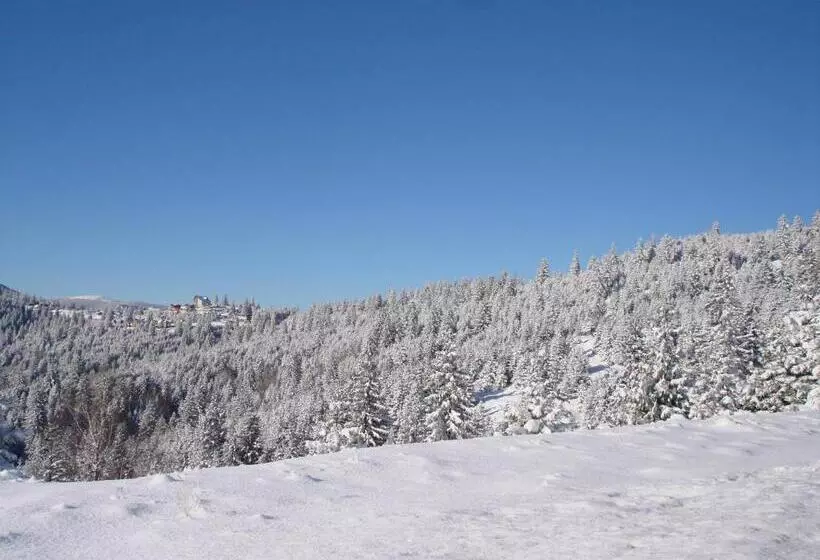 ペンション Vila Romanita