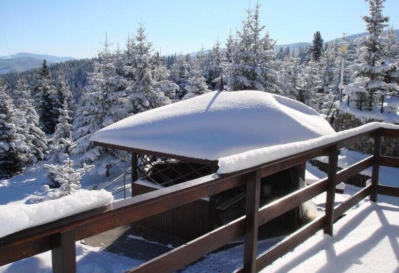 بنسيون Vila Romanita