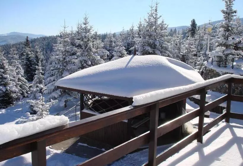 ペンション Vila Romanita