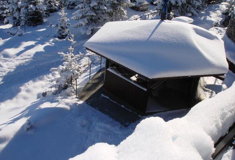 بنسيون Vila Romanita