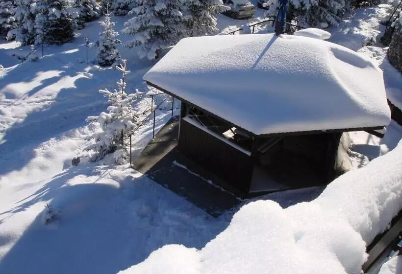 ペンション Vila Romanita