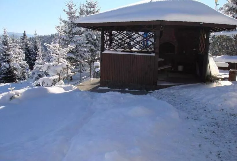 ペンション Vila Romanita