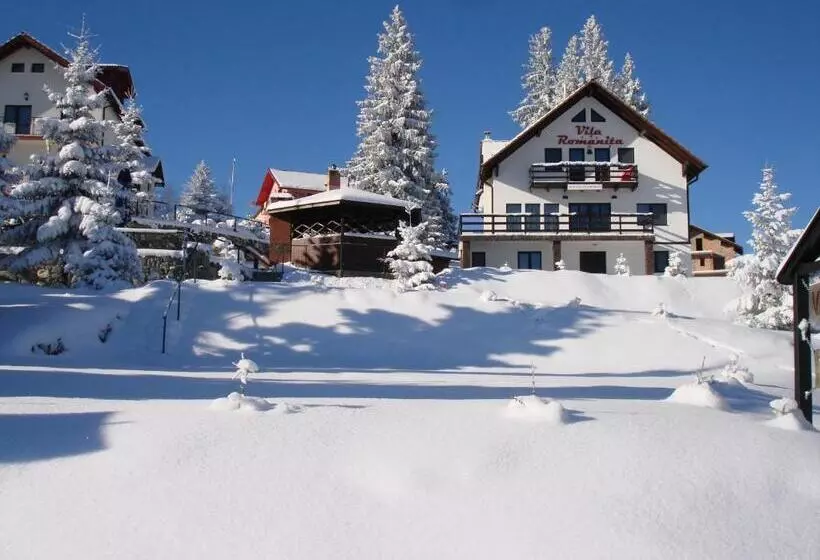 ペンション Vila Romanita