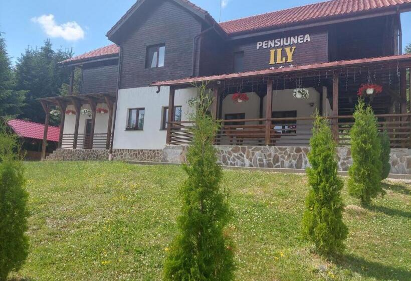 Pensiunea Ily