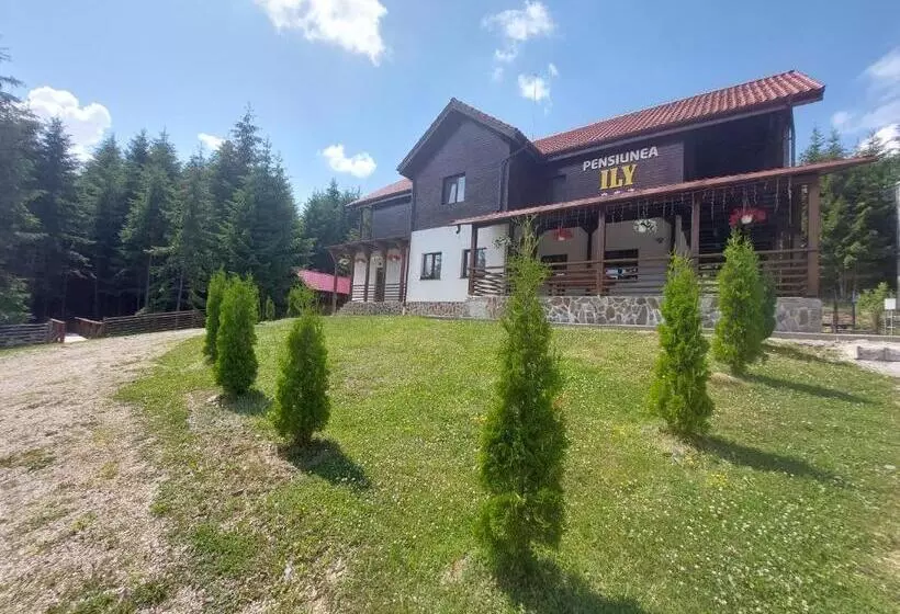 Pensiunea Ily