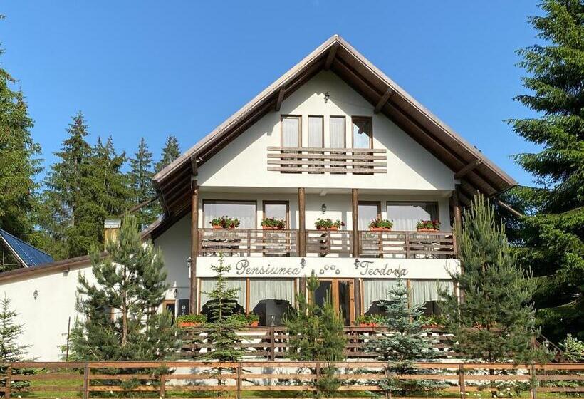 Pensiunea Teodora