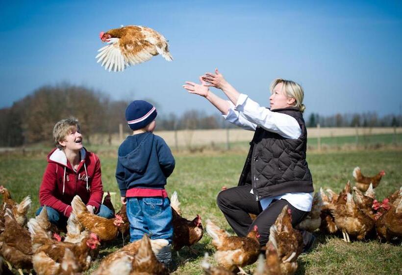 Hostel Landgasthaus Helpfauer Hof