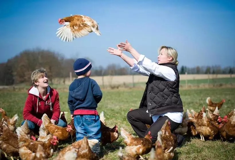 ユースホステル Landgasthaus Helpfauer Hof