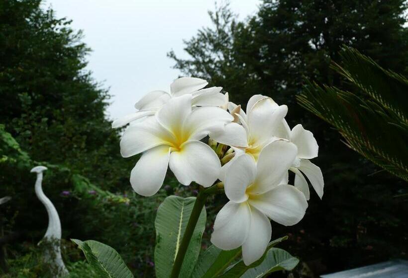 Eco Hotel Locanda Del Giglio