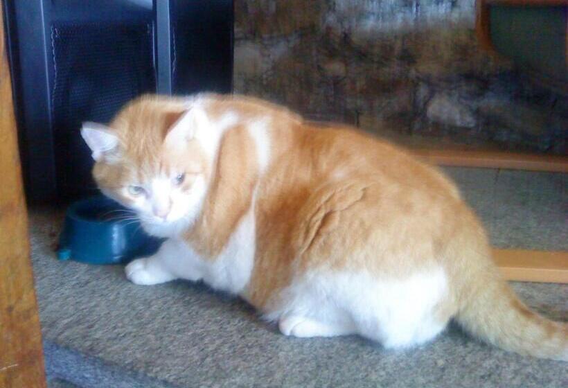 Eco Hotel Locanda Del Giglio