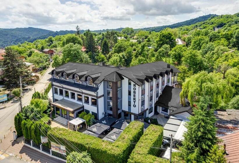 Отель Roberto Slanic Prahova