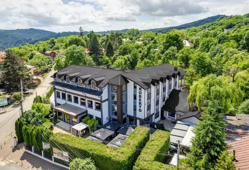 ホテル Roberto Slanic Prahova