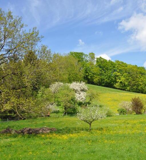 Отель Sonnenkaiser