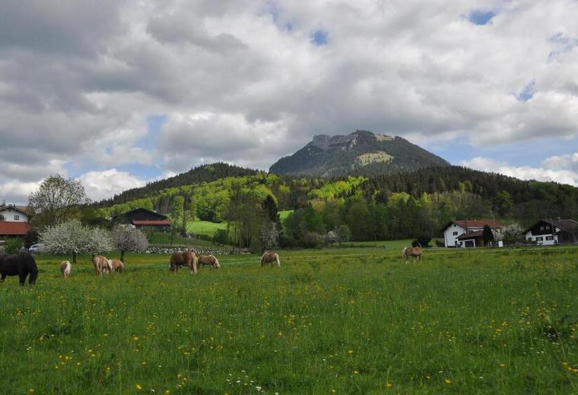 Отель Sonnenkaiser