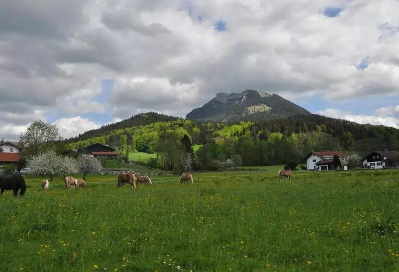 ホテル Sonnenkaiser