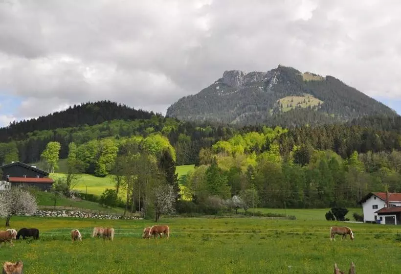 ホテル Sonnenkaiser