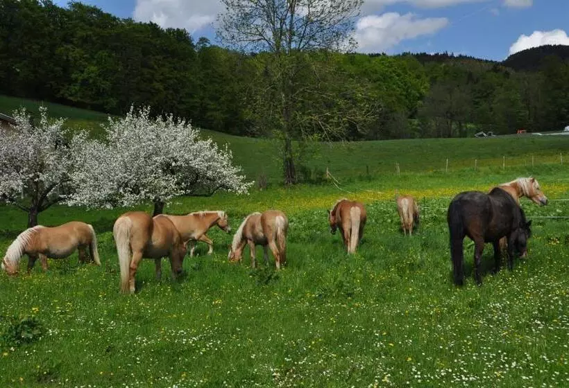 ホテル Sonnenkaiser