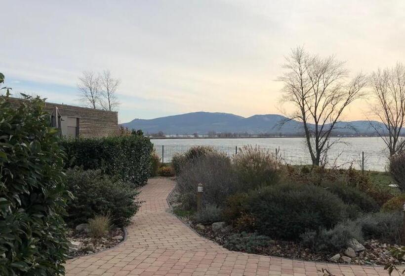 ホテル Termal Mušov