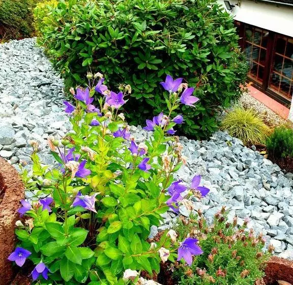 Landhotel Goldener Acker