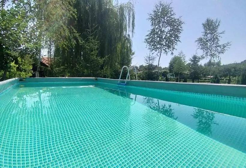 ペンション Casa Veche