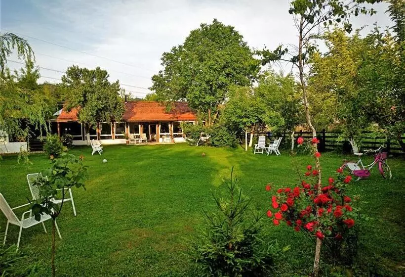 ペンション Casa Veche