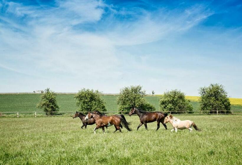 Panzió Hospůdka Na Haldě