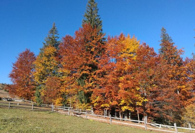 Пансион Kam In