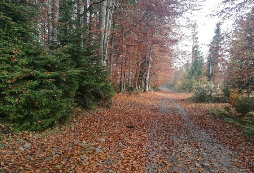 Пансион Kam In