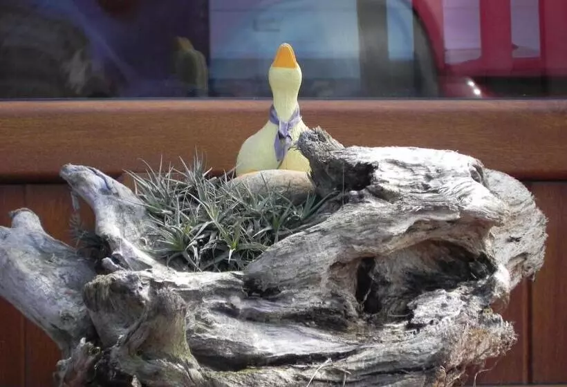 Majatalo O Lar De Carmiña