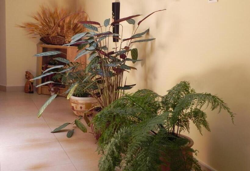 بنسيون O Lar De Carmiña