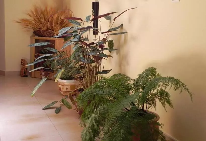 Majatalo O Lar De Carmiña