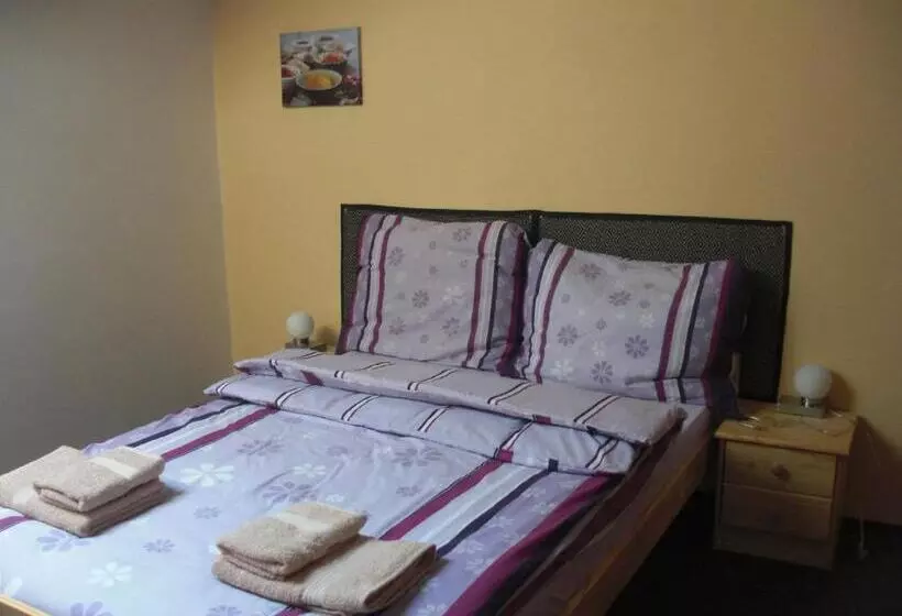 Majatalo Penzion Aneta