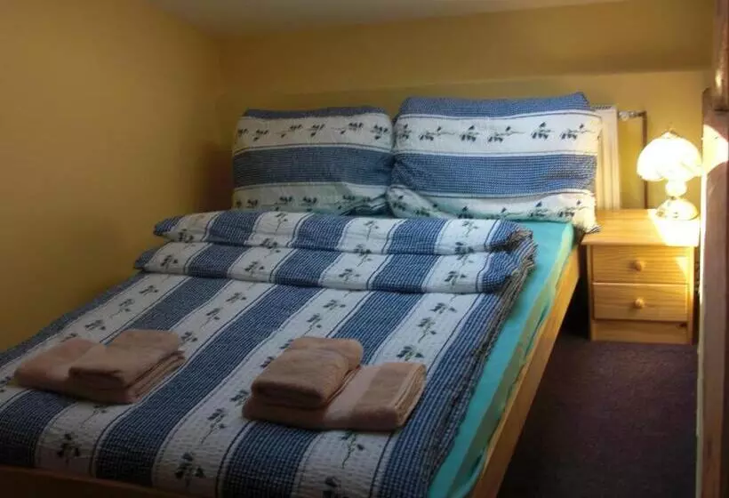 Majatalo Penzion Aneta