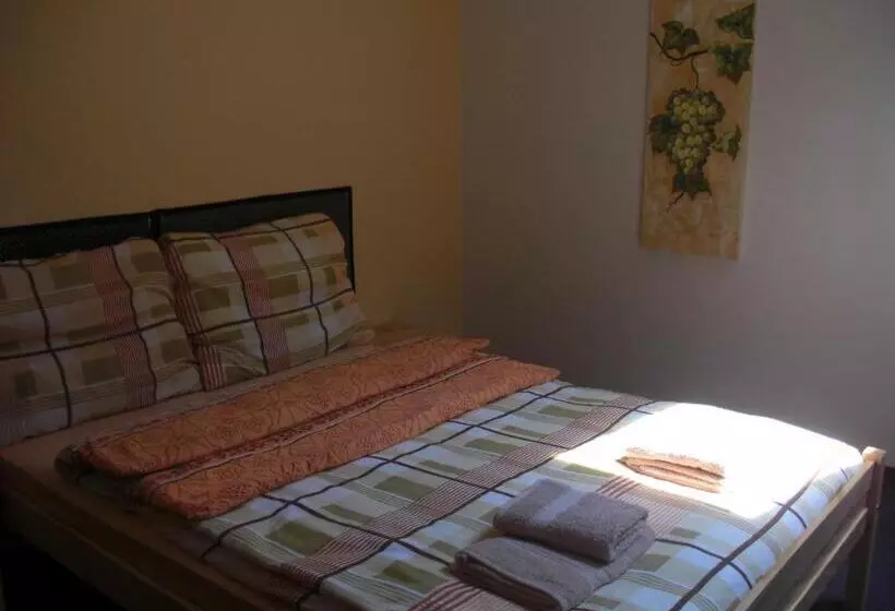 Majatalo Penzion Aneta