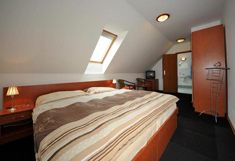 펜션 Penzion Praktik Krumlov