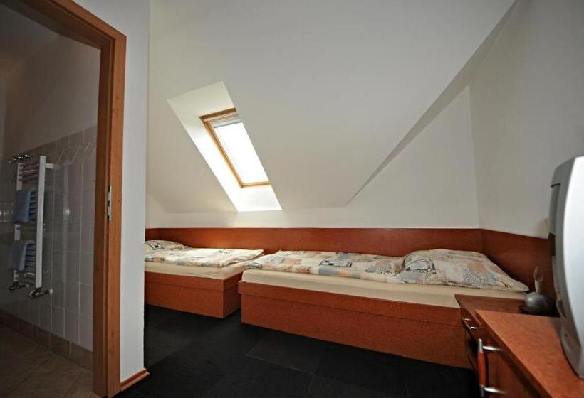 펜션 Penzion Praktik Krumlov