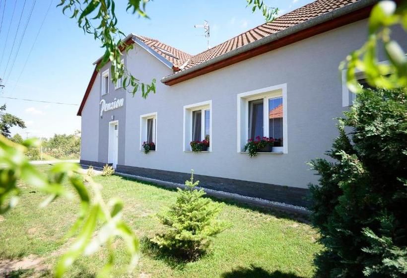 Panzió Penzion U Tří Lip Hevlín