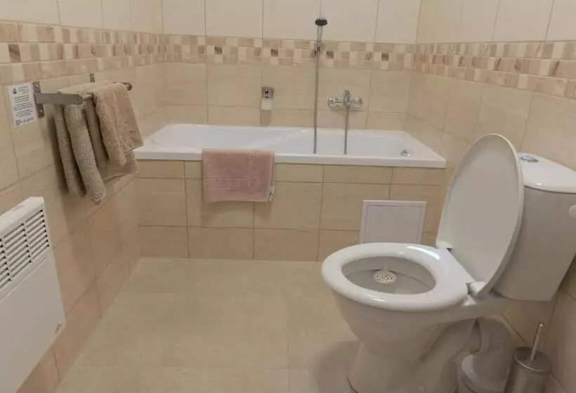 Majatalo Penzion švýcarský Dům