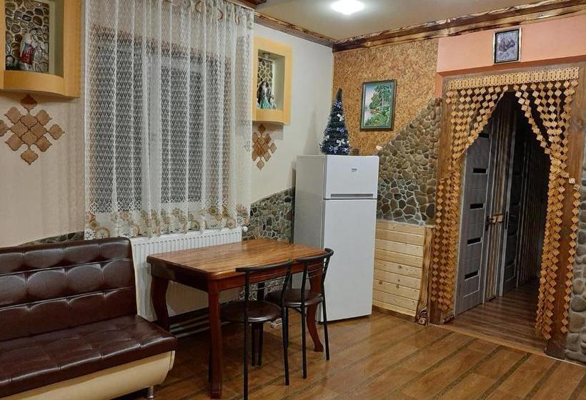 بنسيون Zatyshok