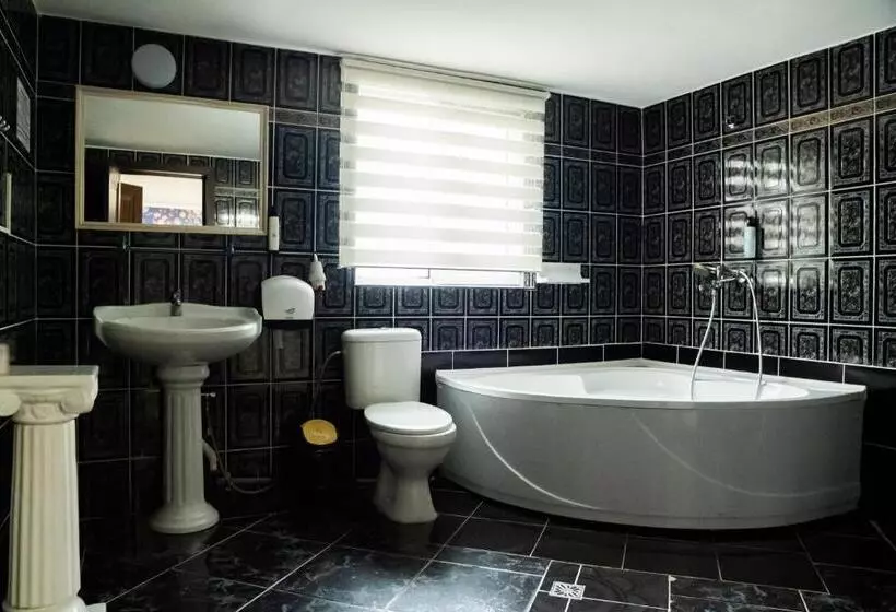 Pensiunea Lido Moisei