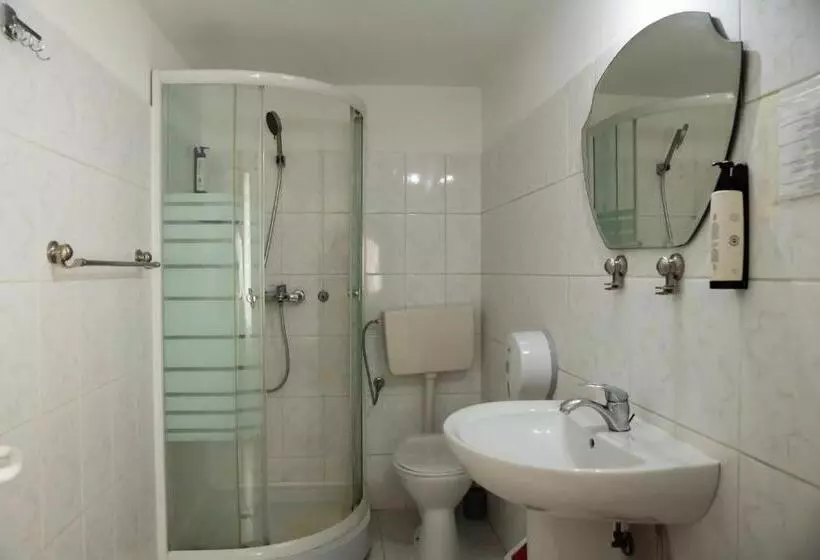 Pensiunea Lido Moisei