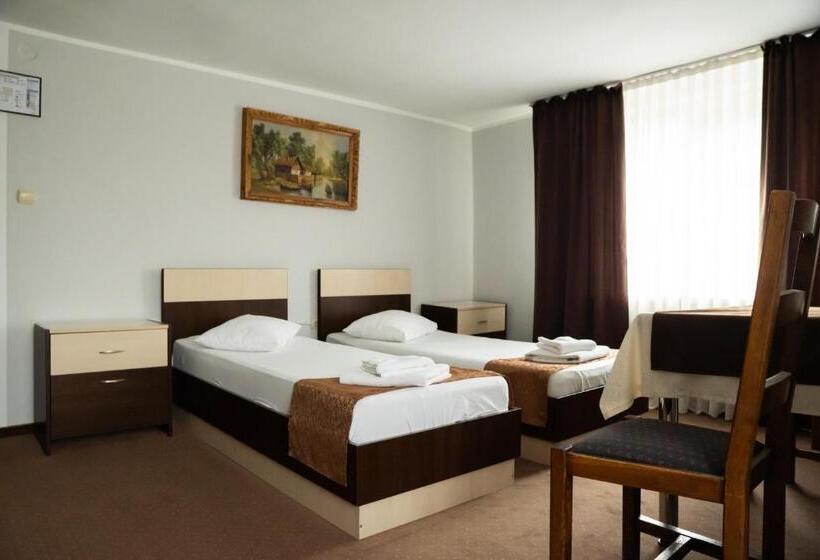 Pensiunea Lido Moisei