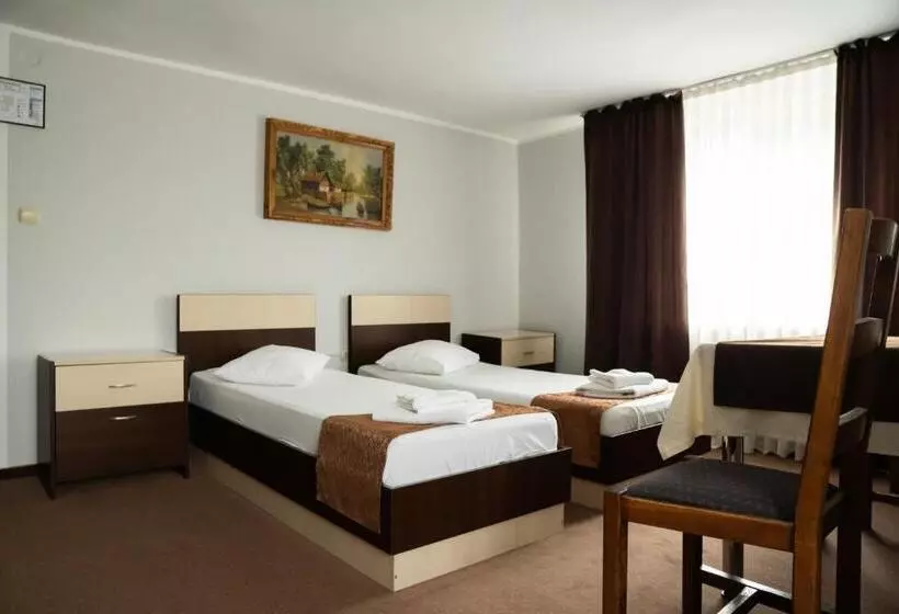 Pensiunea Lido Moisei