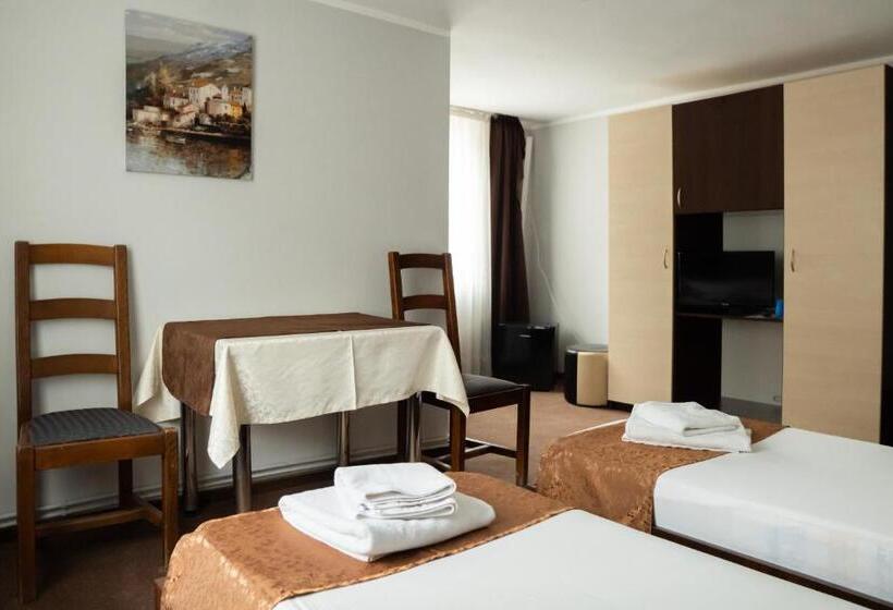 Pensiunea Lido Moisei