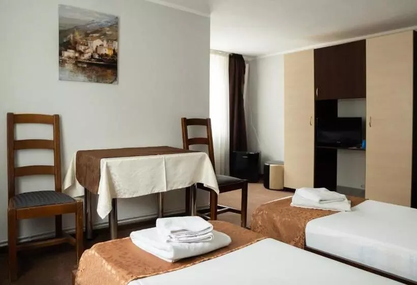 Pensiunea Lido Moisei