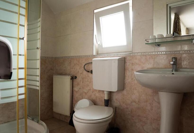 Pensiunea Lido Moisei