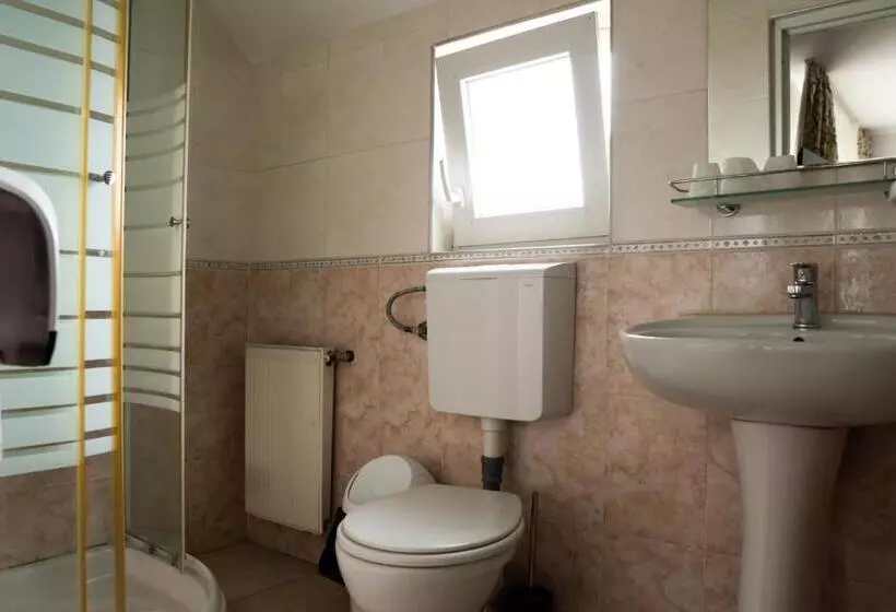 Pensiunea Lido Moisei