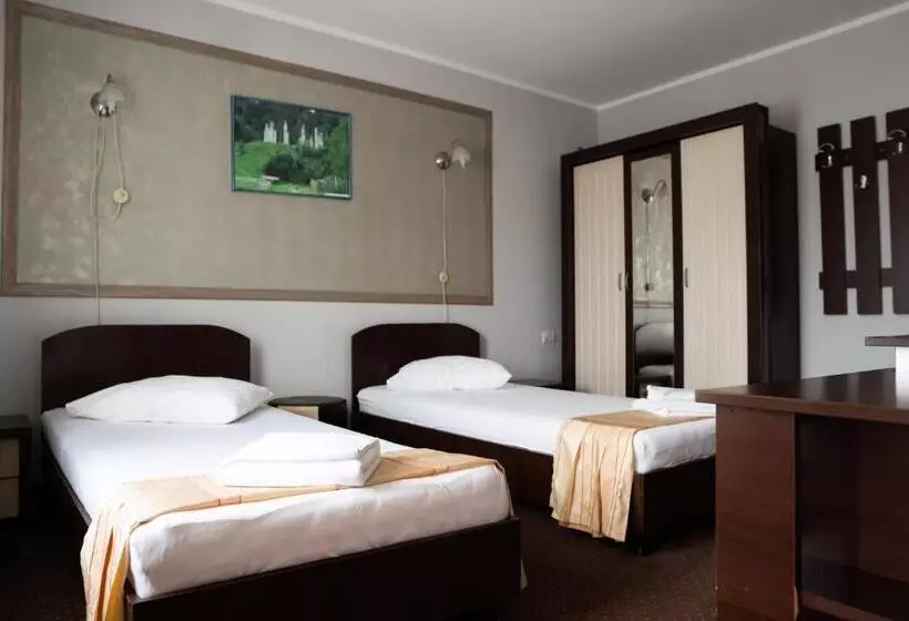 Pensiunea Lido Moisei