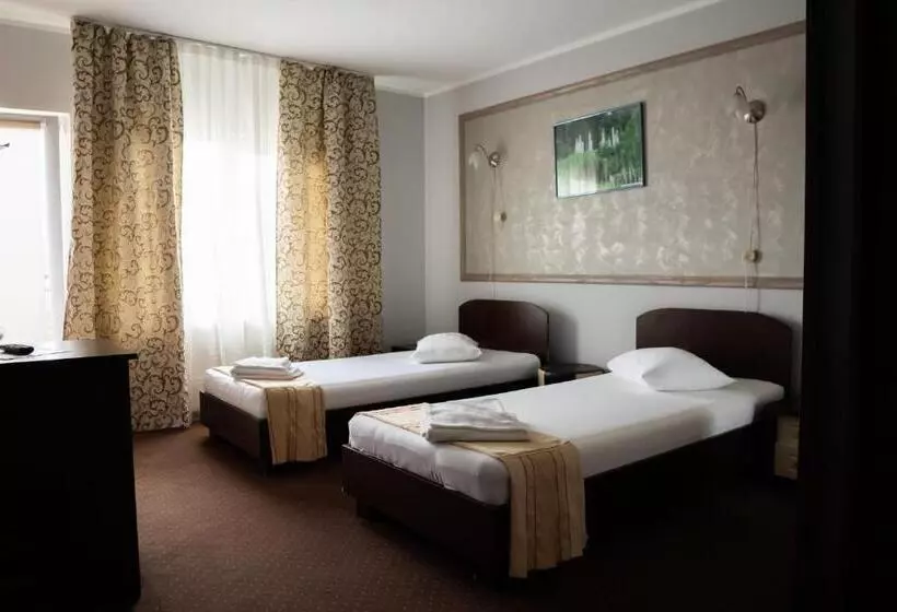 Pensiunea Lido Moisei